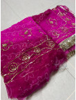 hp raibandhej suit